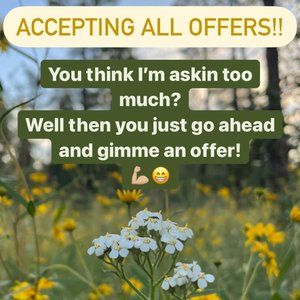 Accepting  Any & All Offers!